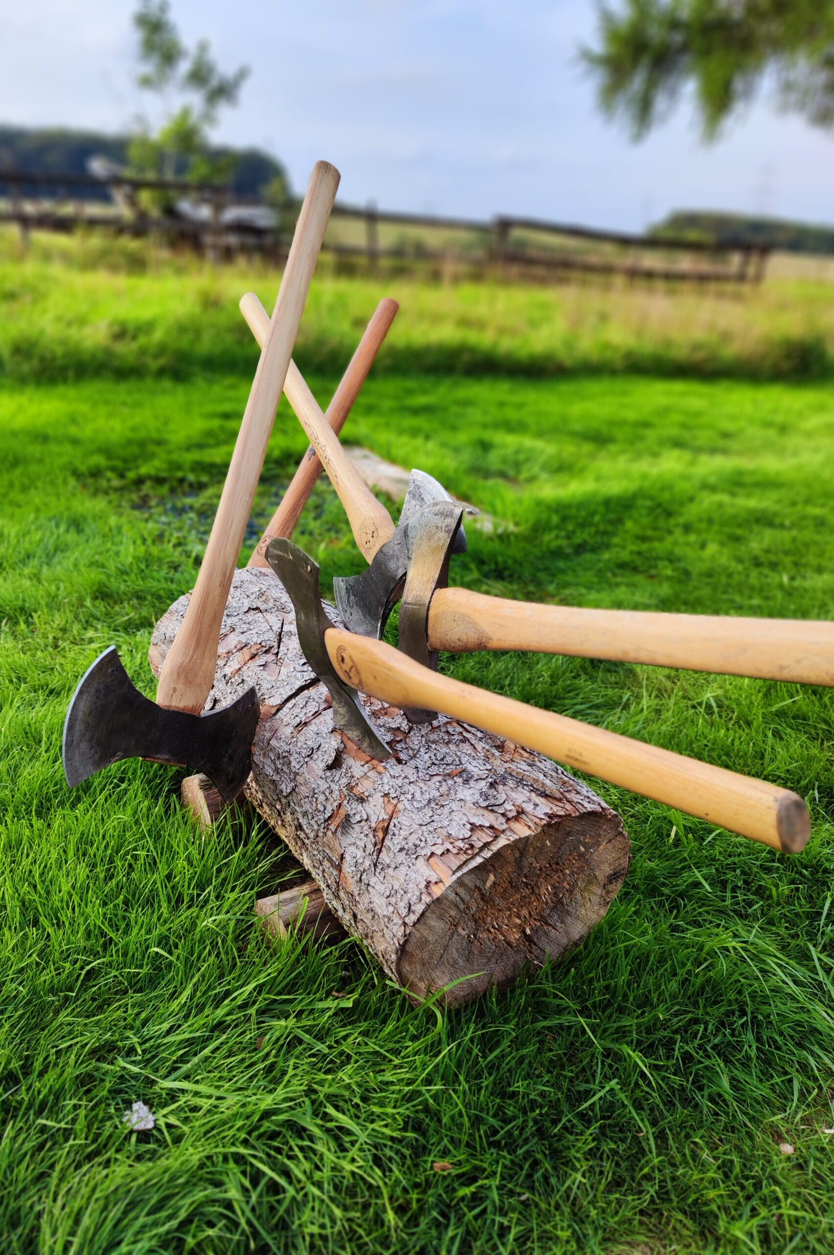 AXEBOOK – Monatsbericht März 2026